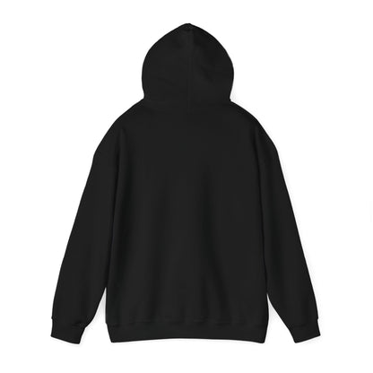 Redeemed Pickleball Precision Pickle Play Hoodie Unisex