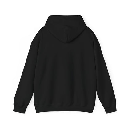 Redeemed Pickleball Precision Pickle Play Hoodie Unisex
